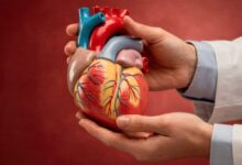 Cardiac Surgeon vs Interventional Cardiologist: Who Performs Open Heart Surgery?